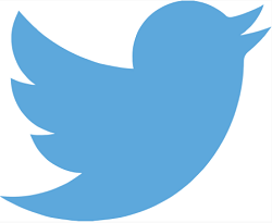 Twitter Social Media Management